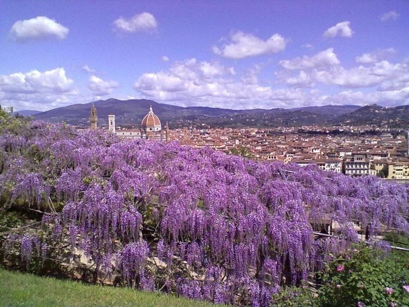 Soggiorno Alessandra Firenze Eksteriør billede